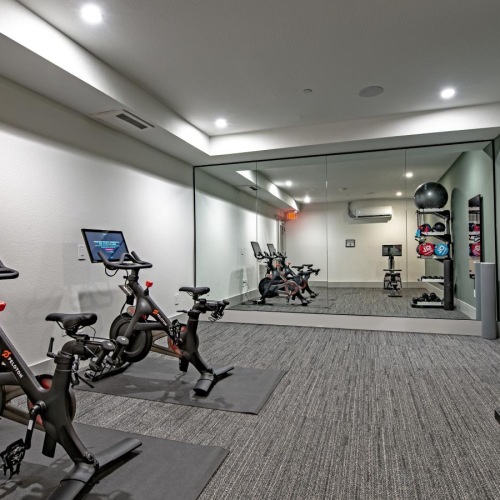 Get your workout on a gym with exercise equipment